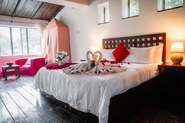 Hotel Hibiscus House Gambia Brufut Esterno foto